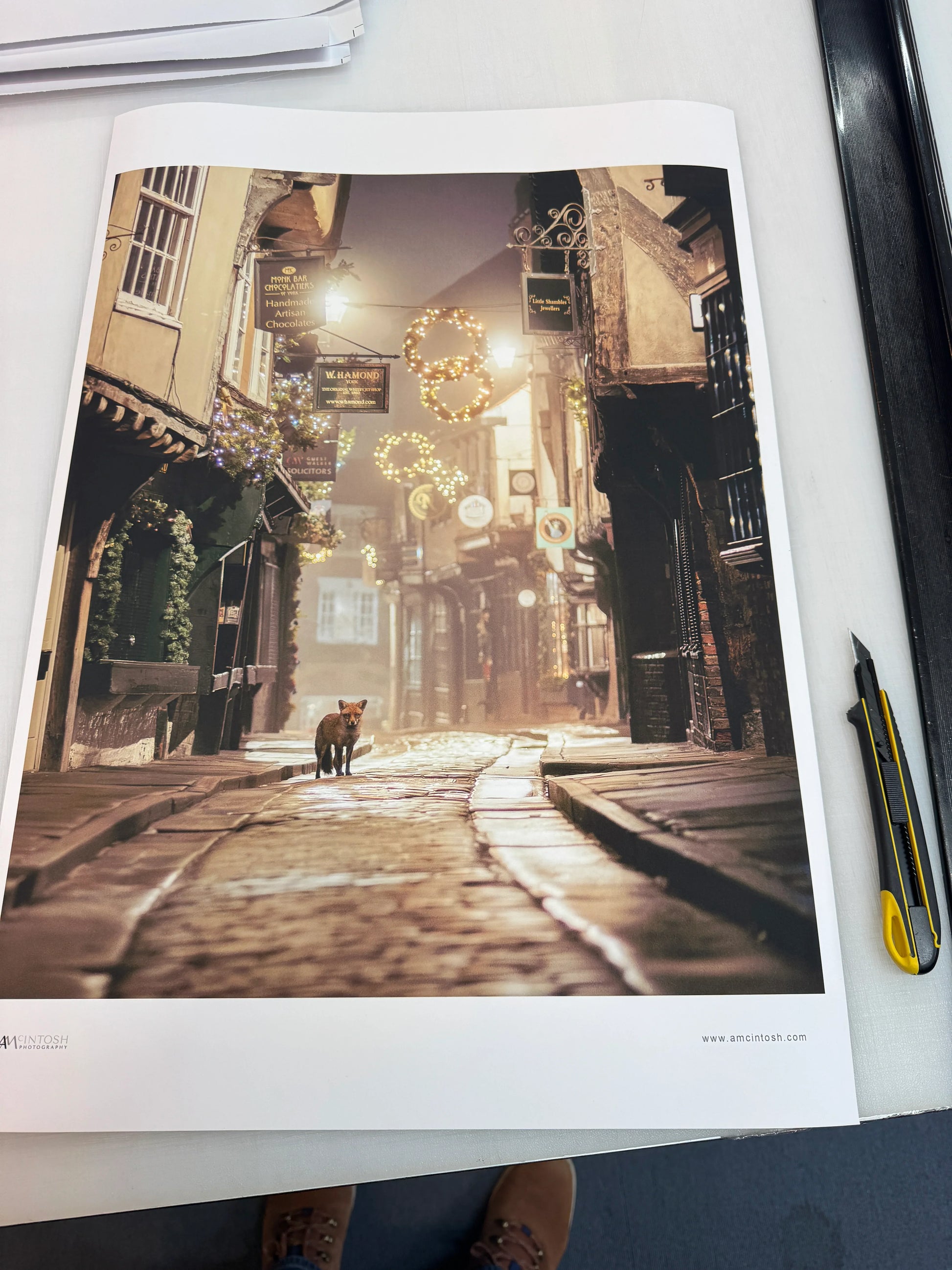 Printed photo of a fox on a cobbled street in historic York with shop signs and lights